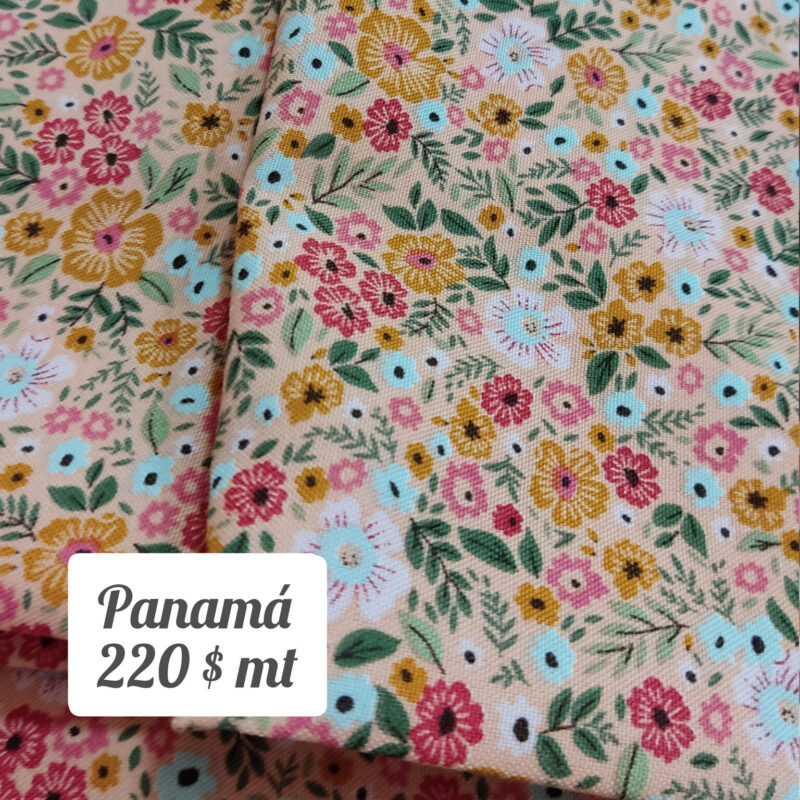 Panamá (mt)