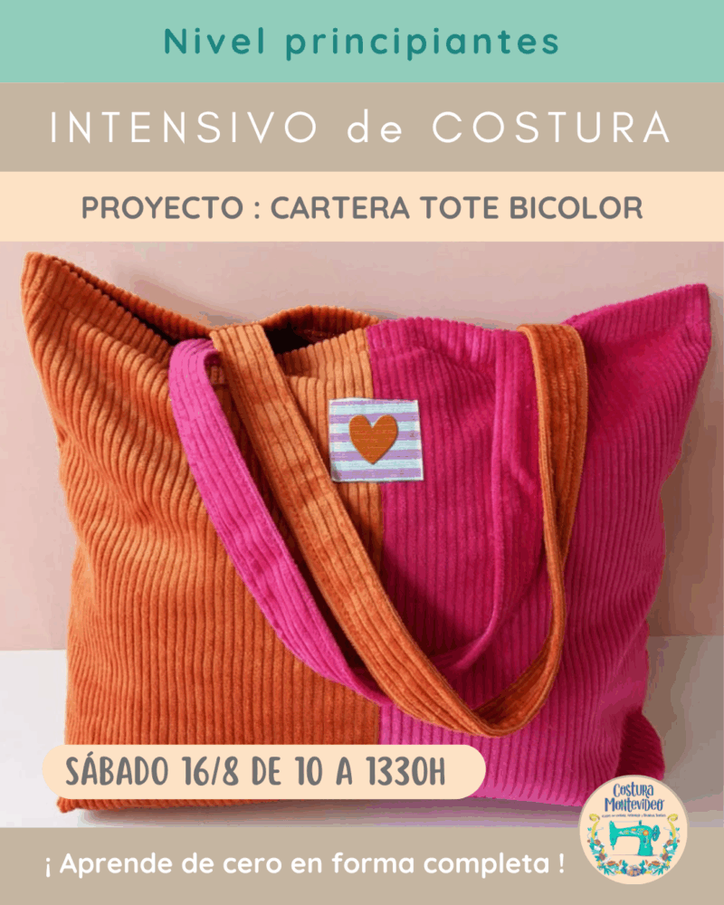 Intensivo: Cartera Totebag Bicolor