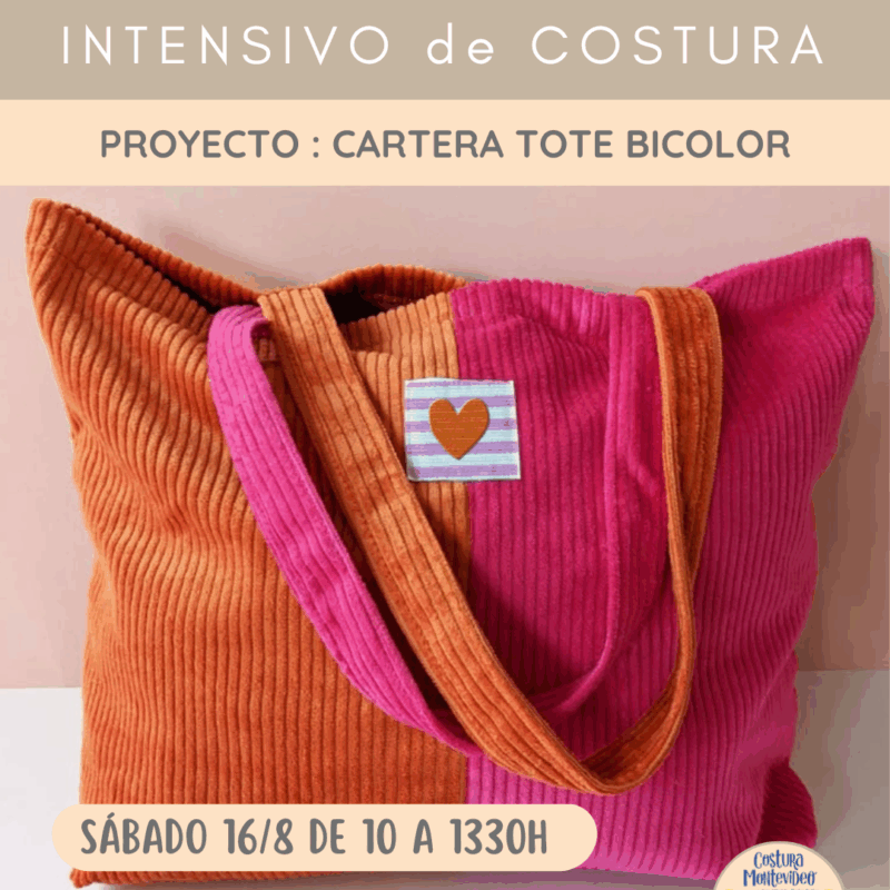 Intensivo: Cartera Totebag Bicolor